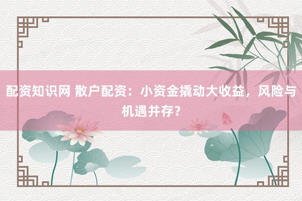 配资知识网 散户配资：小资金撬动大收益，风险与机遇并存？