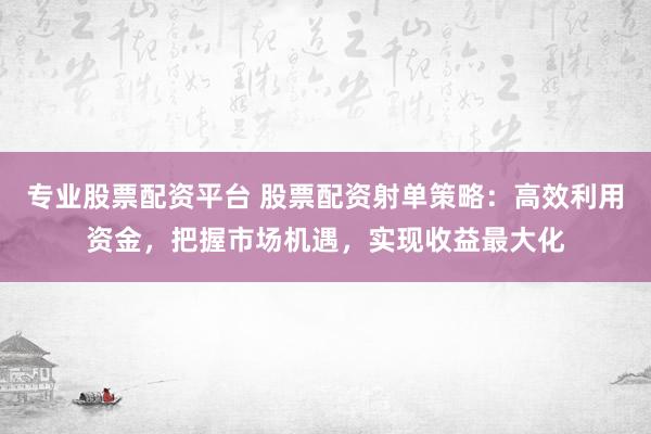 专业股票配资平台 股票配资射单策略：高效利用资金，把握市场机遇，实现收益最大化