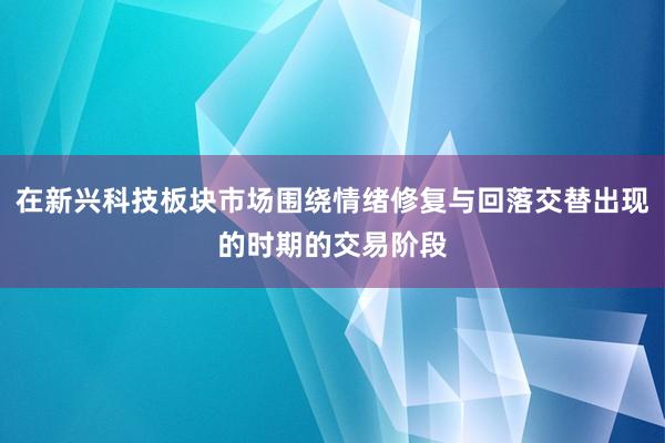 在新兴科技板块市场围绕情绪修复与回落交替出现的时期的交易阶段