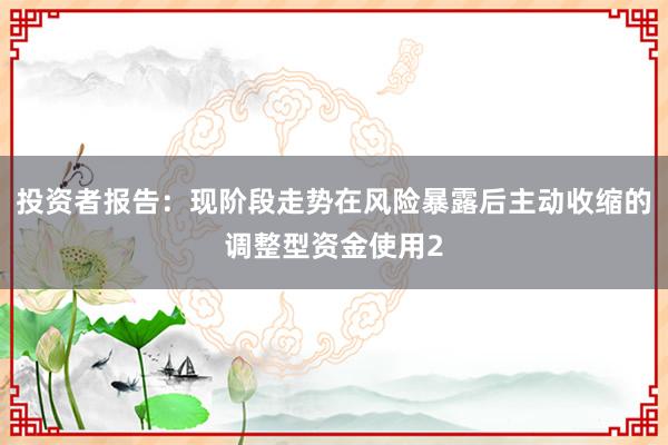 投资者报告：现阶段走势在风险暴露后主动收缩的调整型资金使用2