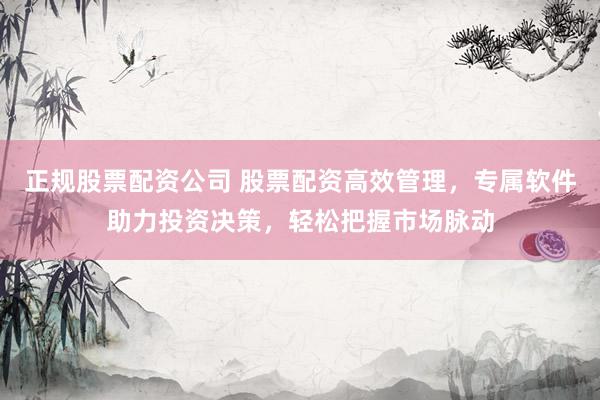 正规股票配资公司 股票配资高效管理，专属软件助力投资决策，轻松把握市场脉动