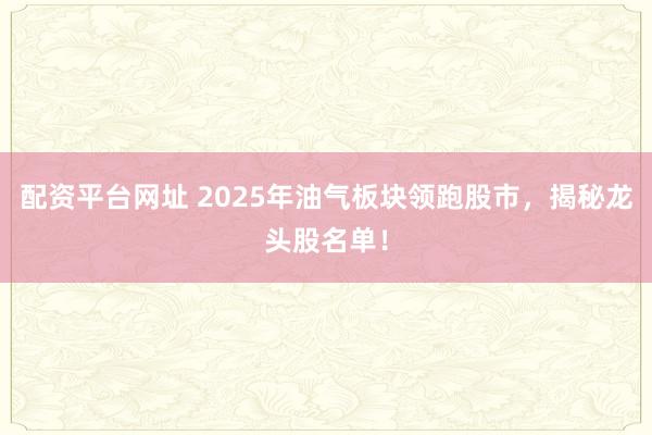 配资平台网址 2025年油气板块领跑股市，揭秘龙头股名单！