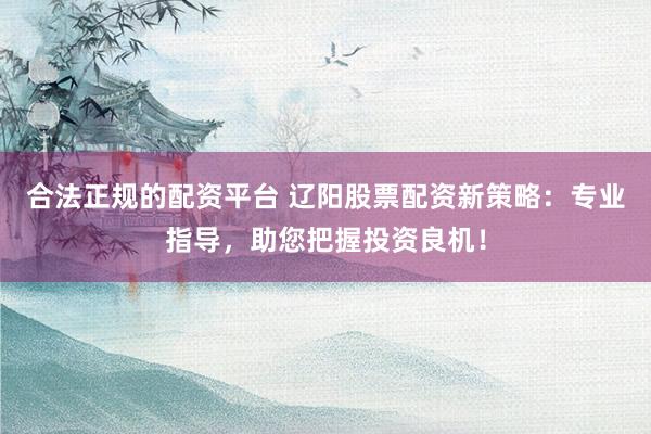 合法正规的配资平台 辽阳股票配资新策略：专业指导，助您把握投资良机！