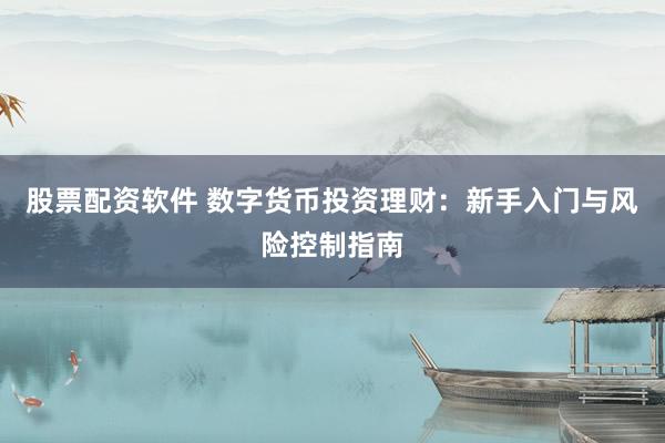 股票配资软件 数字货币投资理财：新手入门与风险控制指南